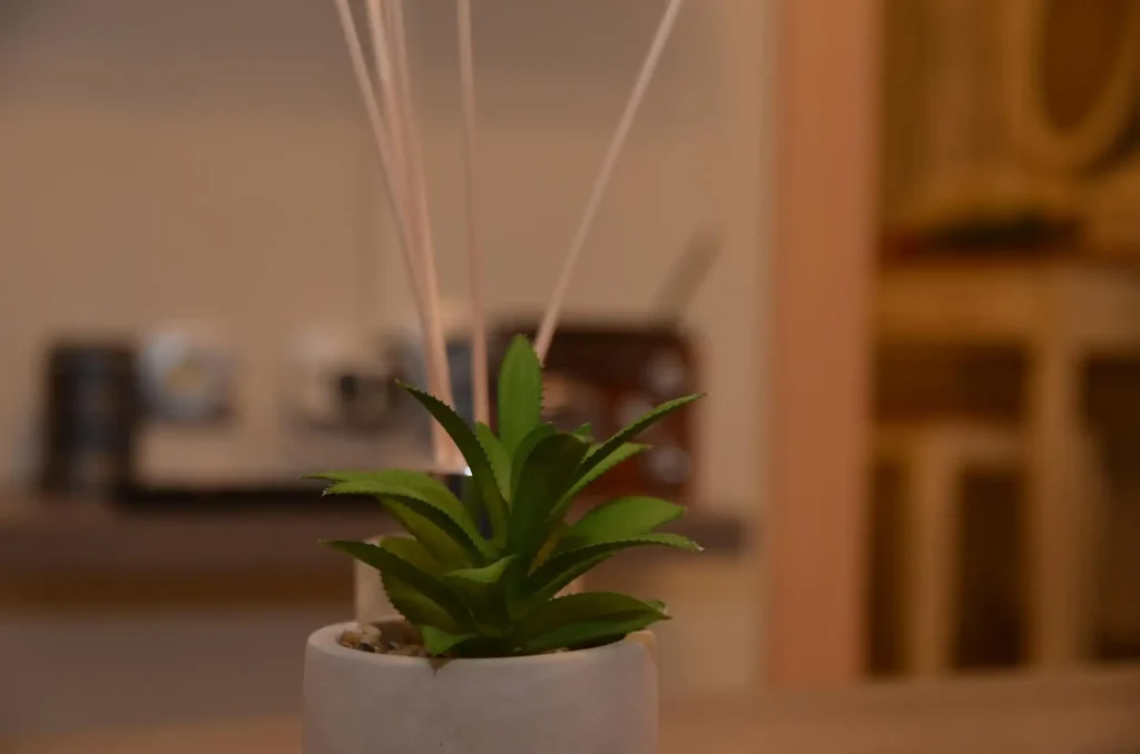 Moutros Cozy Home - Sokraki Village - Corfu